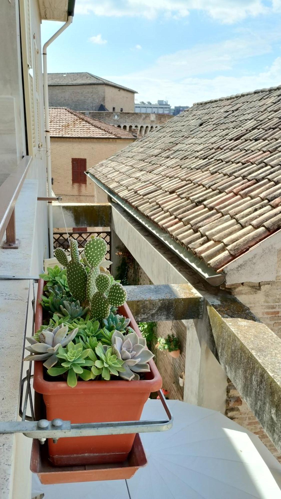 Palazzo Cavalletti - Appartamenti Nel Cuore Di Senigallia Esterno foto